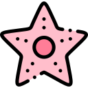 Estrella de mar