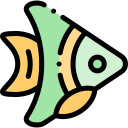 Pescado