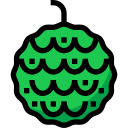 Chirimoya icon