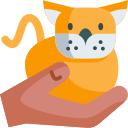 gato icon