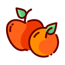 fruta icon