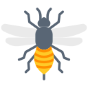 Abeja