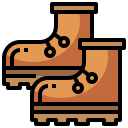 Bota icon