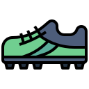 Zapato icon