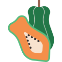 papaya icon