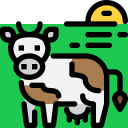 Vaca 