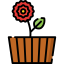 Dahlia icon