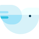 Pomba 