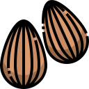 Amêndoa 