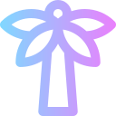 palmera icon