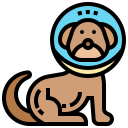 perro icon