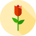 tulipán icon