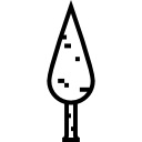 Árvore icon
