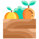 vegetales icon