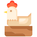 pollo icon