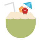 bebida de coco icon