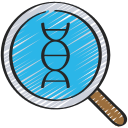 estructura de adn