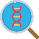 estructura de adn