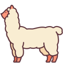 alpaca