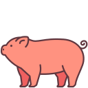 porco 