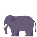 elefante