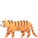 tigre icon