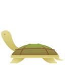 tortuga icon