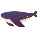 ballena icon