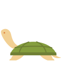 tortuga