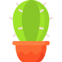 cactus icon