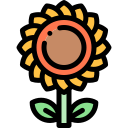 girasol icon