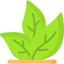 eco icon