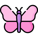 mariposa de seda