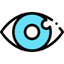 ojo icon