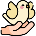 pomba 