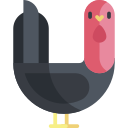 pavo icon