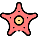 estrella de mar icon