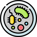 bacterias icon