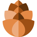 cono de pino icon