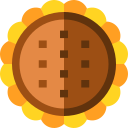 girasol icon