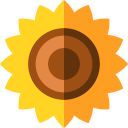 girasol icon