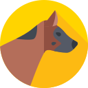 perro icon