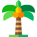 palmera icon