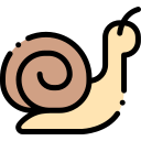 caracol