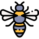 abeja