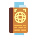 Pasaporte icon