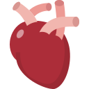 Corazón icon