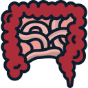 Intestino icon