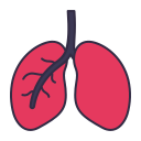 Pulmones icon