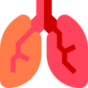 Pulmones